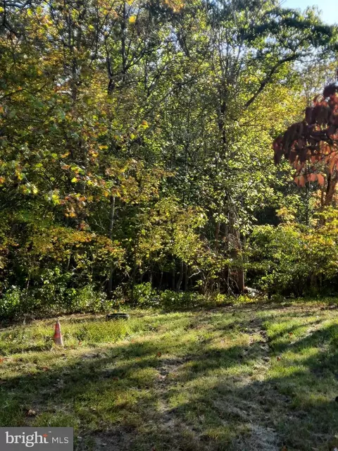 2950 Chaney Rd, Dunkirk, MD 20754 photo 7