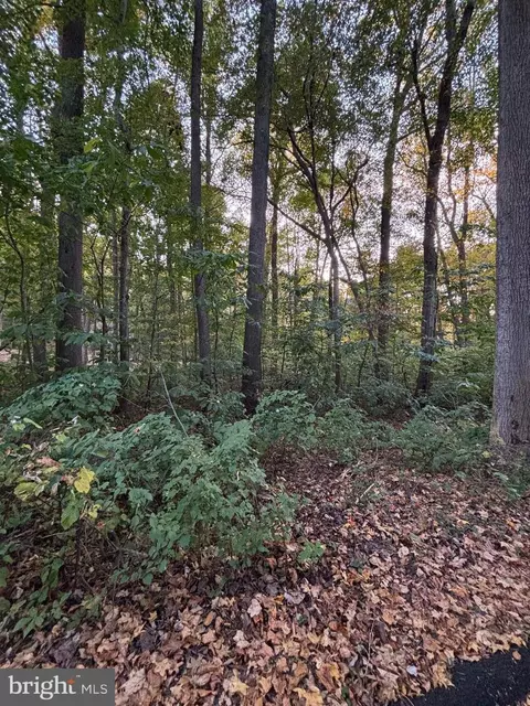 6073 Fir Rd, Saint Leonard, MD 20685