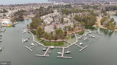 603 Runabout Loop #603, Solomons, MD 20688 photo 37