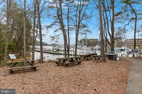 603 Runabout Loop #603, Solomons, MD 20688 photo 29
