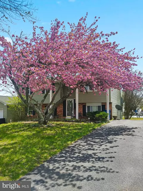 1350 Jewell Rd, Dunkirk, MD 20754 photo 32