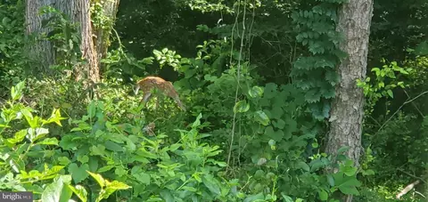 Other - 3375 Old Jones Rd, Dunkirk, MD 20754 photo 17 of 19