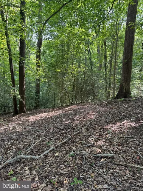 4685 Camp Roosevelt Dr, Chesapeake Beach, MD 20732