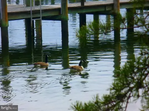 Other - 735 Runabout Loop #735, Solomons, MD 20688 photo 18 of 18
