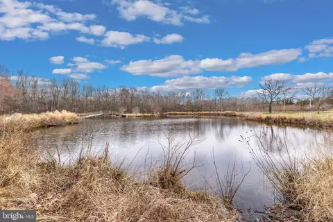View/Area - 12124 Palisades Dr, Dunkirk, MD 20754 photo 3 of 12