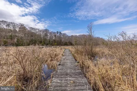 Other - 12124 Palisades Dr, Dunkirk, MD 20754 photo 26 of 43
