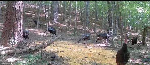 635 Tobacco Ridge Rd, Prince Frederick, MD 20678