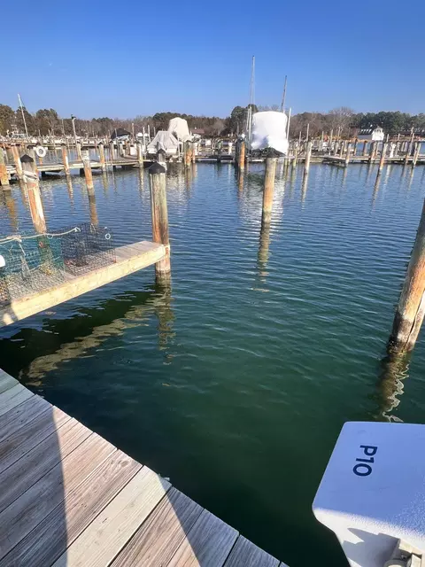 View/Area - 1223 Back Crk #1223, Solomons, MD 20688 photo 8 of 9