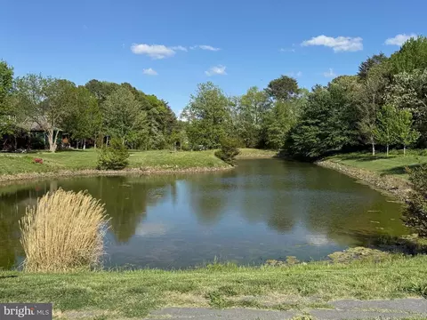 View/Area - 14318 Pennington Ct #113, Solomons, MD 20688 photo 4 of 5