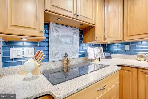 10410 Three Doctors Rd, Dunkirk, MD 20754 photo 13