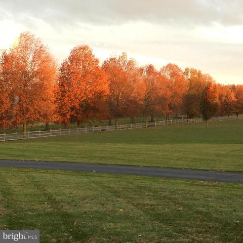 18 Scott Rd, Warwick, MD 21912 photo 38