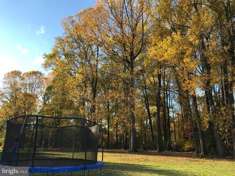 39 Piccadilly Ct, Colora, MD 21917 photo 29