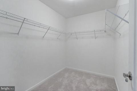 1944 Crystal Beach Rd, Earleville, MD 21919 photo 20