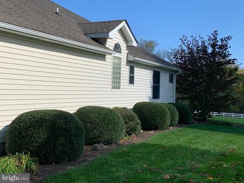 111 Weaver Meadows Rd, Conowingo, MD 21918 photo 4