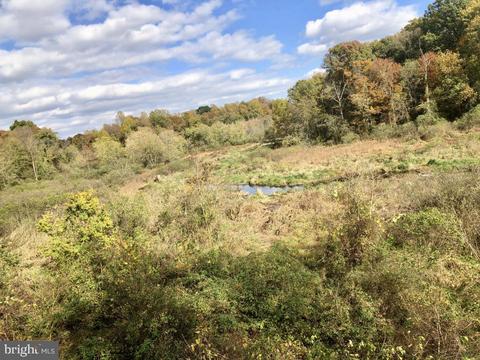 1010 Sassafrass Rd, Warwick, MD 21912 photo 94
