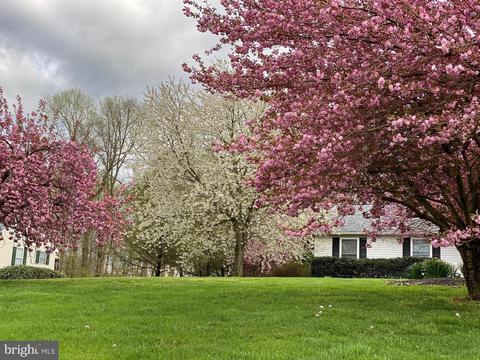 42 Campbell Ct, Conowingo, MD 21918 photo 27
