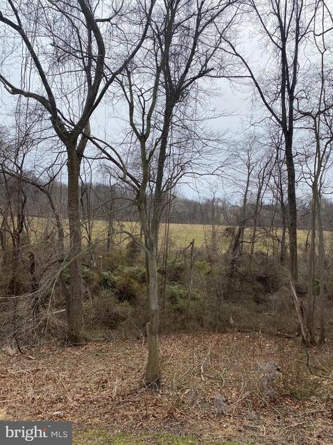 224 Mcglothlin Rd, Conowingo, MD 21918 photo 19