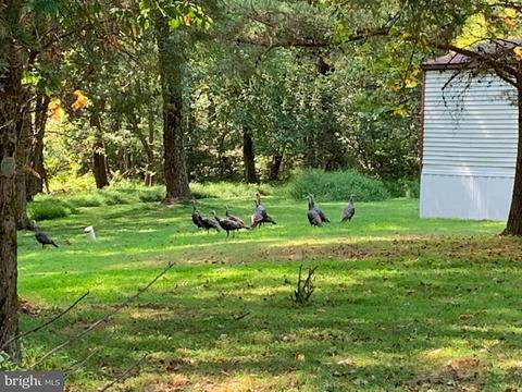 121 Log Cabin Ln, Conowingo, MD 21918 photo 54