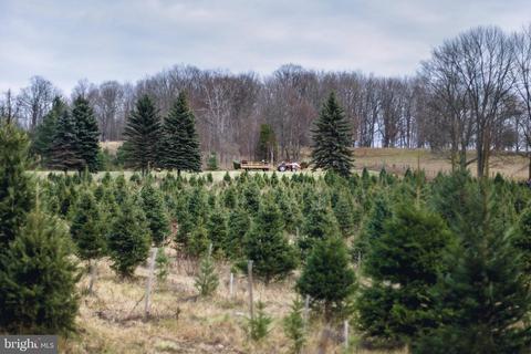 928 Nesbitt Rd, Colora, MD 21917 photo 7