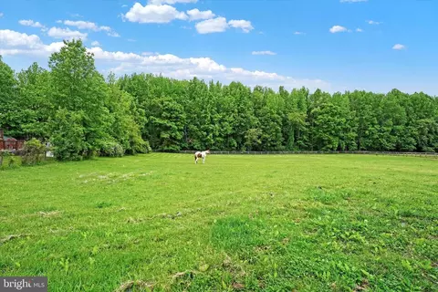 535 Nottingham Rd, Elkton, MD 21921 photo 37