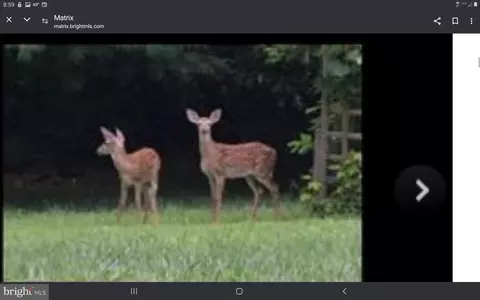 lot1 Mcglothlin Rd, Conowingo, MD 21918 photo 3