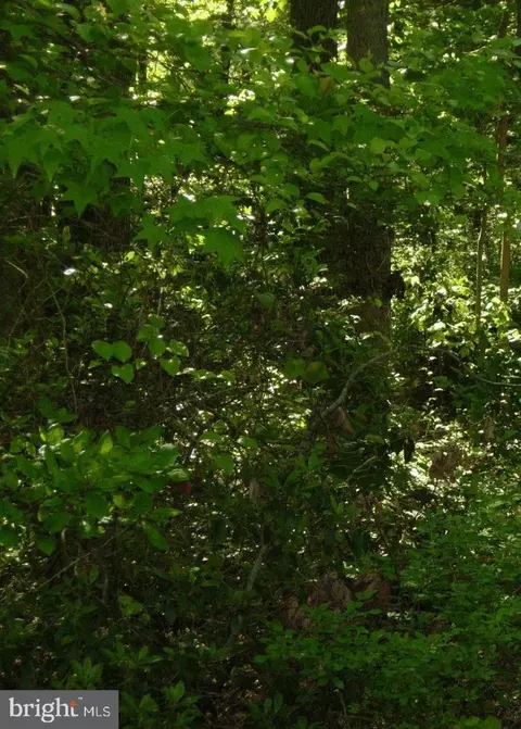 Old Elk Neck Road, Elkton, MD 21921
