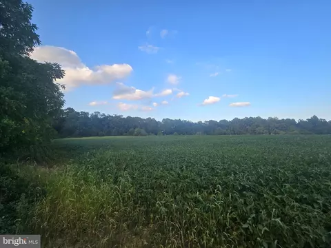 lot4 Fulton Ct, Warwick, MD 21912 photo 3