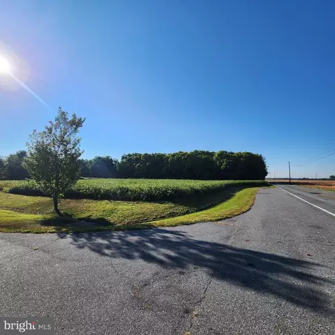 460 Old Telegraph Rd, Warwick, MD 21912 photo 16