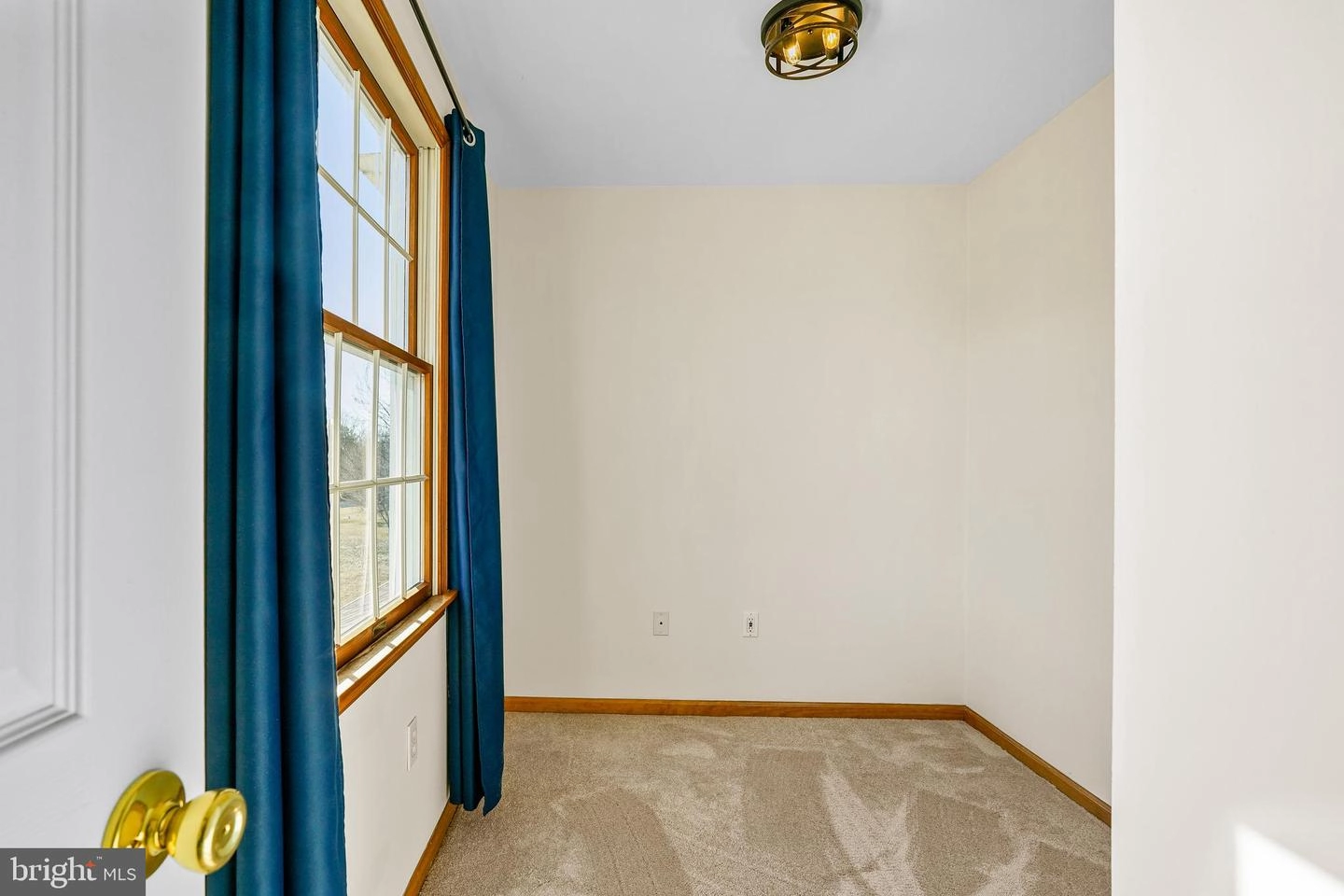 Other - 1003 Old Telegraph Rd, Warwick, MD 21912 photo 5 of 14