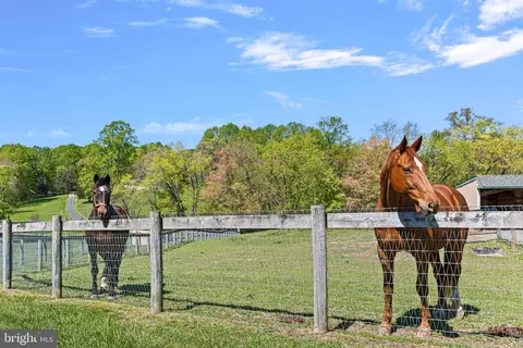 Other - 211 Woolens Rd, Elkton, MD 21921 photo 15 of 30