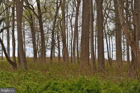 lot2 Kent Ave, Earleville, MD 21919 photo 4