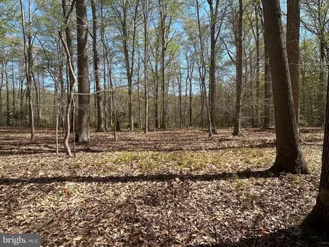 Mt Nebo Road, Chesapeake City, MD 21915