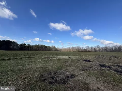 1191 Old Telegraph Rd, Warwick, MD 21912 photo 24