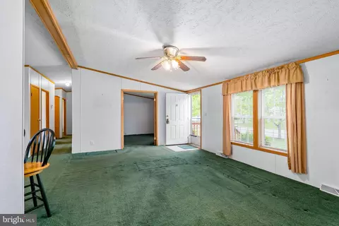 2 Grace Ann, Conowingo, MD 21918 photo 14