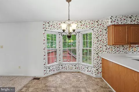 Other - 146 Nicholas Dr, Elkton, MD 21921 photo 3 of 15
