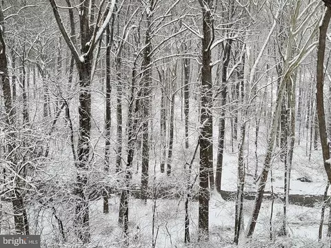 Other - 384 Blacksnake Rd, Elkton, MD 21921 photo 7 of 10