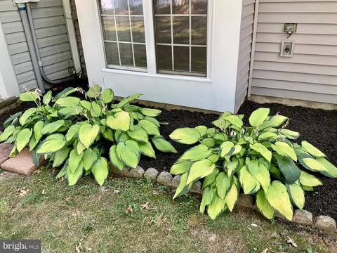 4377 Eagle Ct, Waldorf, MD 20603 photo 2