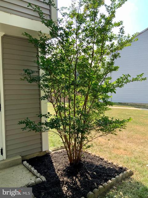 4377 Eagle Ct, Waldorf, MD 20603 photo 3