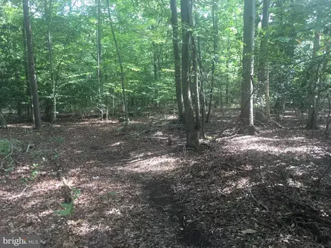 6745 Bristol Oak Pl, Indian Head, MD 20640