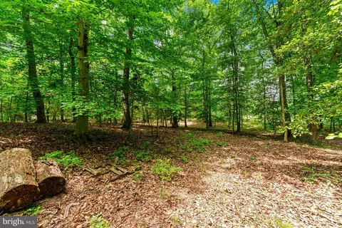 Mcdaniel Road, Waldorf, MD 20603 photo 19