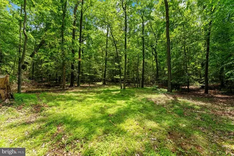 Mcdaniel Road, Waldorf, MD 20603 photo 18
