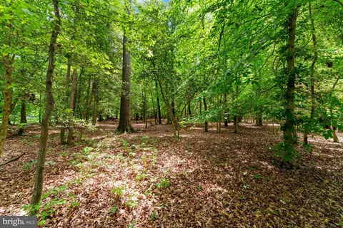 Mcdaniel Road, Waldorf, MD 20603 photo 16