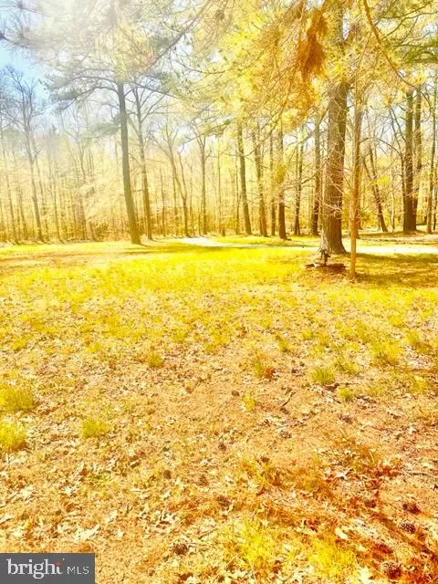 14840 K Hoffman Rd, Waldorf, MD 20601 photo 27