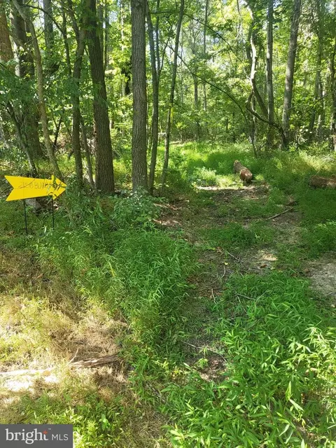 2150 Blanchard Pl, Bryans Road, MD 20616