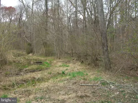 Bonnie Lane, Waldorf, MD 20601