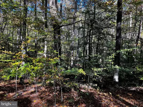 15675 Park Ave, Brandywine, MD 20613 photo 16