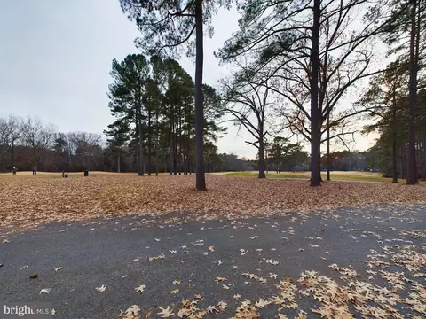 View/Area - 14945 Abelia Ct, Swan Point, MD 20645 photo 11 of 11