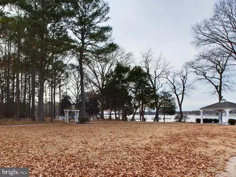 View/Area - 14945 Abelia Ct, Swan Point, MD 20645 photo 9 of 11