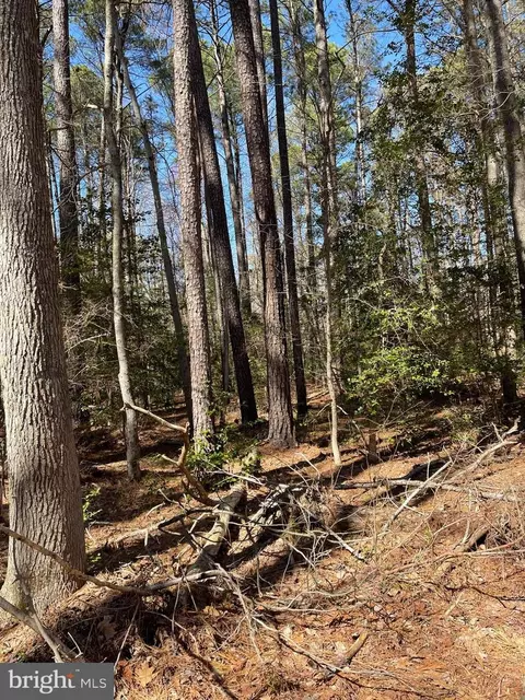 1 St, Nanjemoy, MD 20662