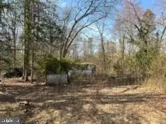 9665 Docs Pl, La Plata, MD 20646 photo 3